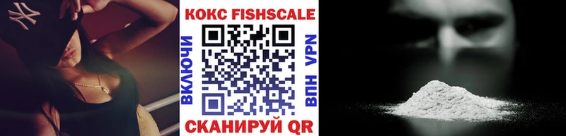 Cocaine FishScale  где можно купить   Подольск 