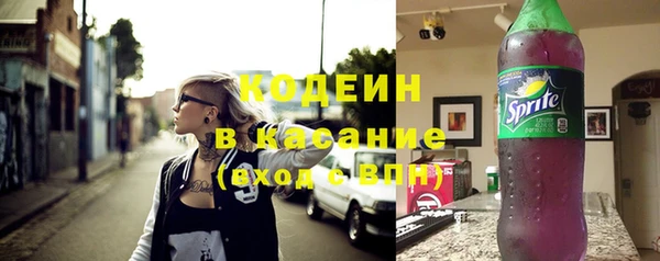 ешки Бородино