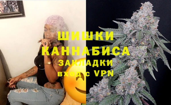 ГАЛЛЮЦИНОГЕННЫЕ ГРИБЫ Бронницы