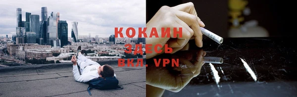 ешки Бородино