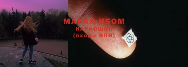 ешки Бородино