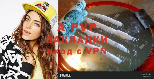 ешки Бородино