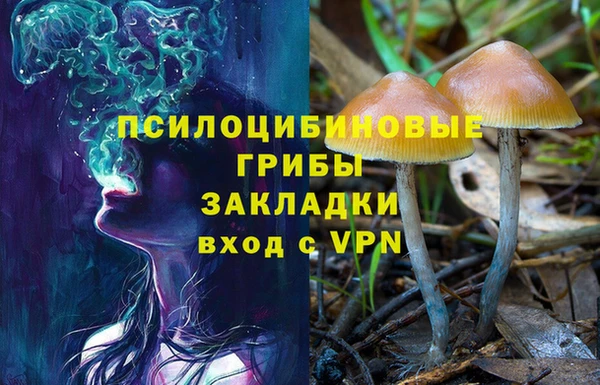 ешки Бородино