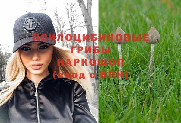 ГАЛЛЮЦИНОГЕННЫЕ ГРИБЫ Бронницы