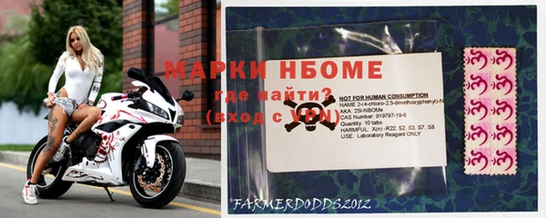 ешки Бородино