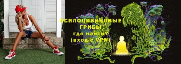 ГАЛЛЮЦИНОГЕННЫЕ ГРИБЫ Бронницы