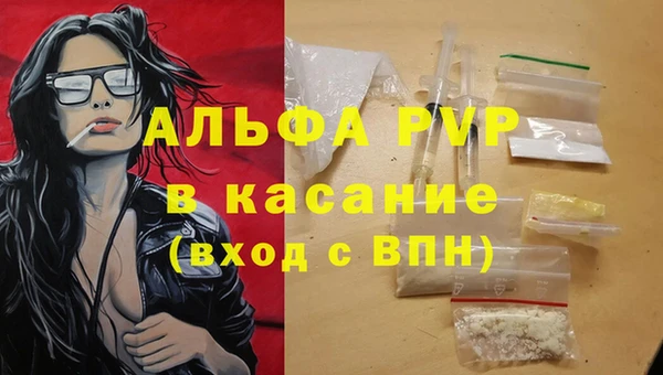 ешки Бородино