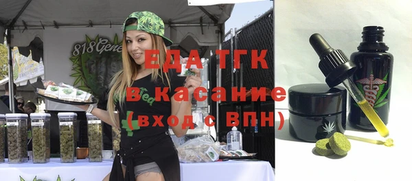 ешки Бородино