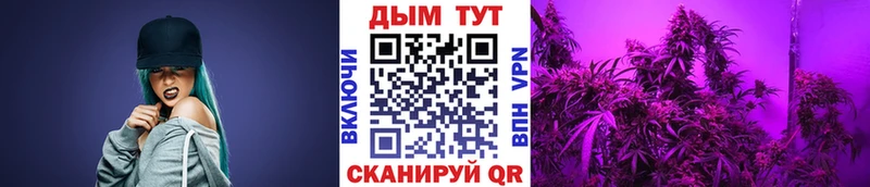Марихуана гибрид Подольск